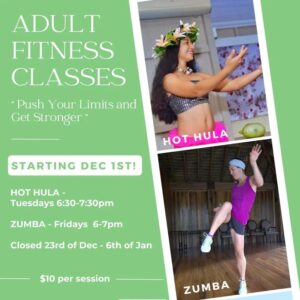 Adult Fitness Classes