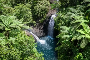 Fiji National Parks